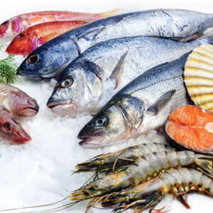 সামুদ্রিক মাছ